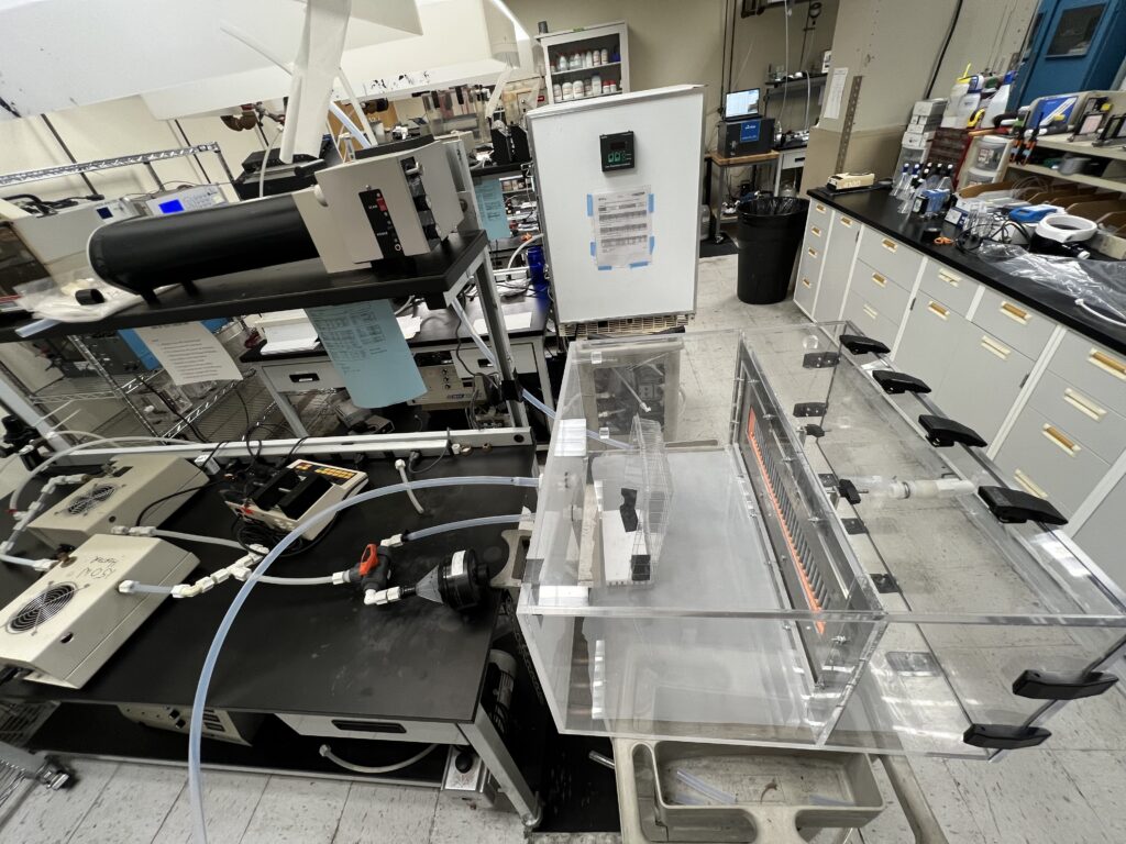 Why Independent Testing Matters in Activated Carbon Cabin Filters Independent filter testing performed at Assay Technologies LLC, USA in 2026.