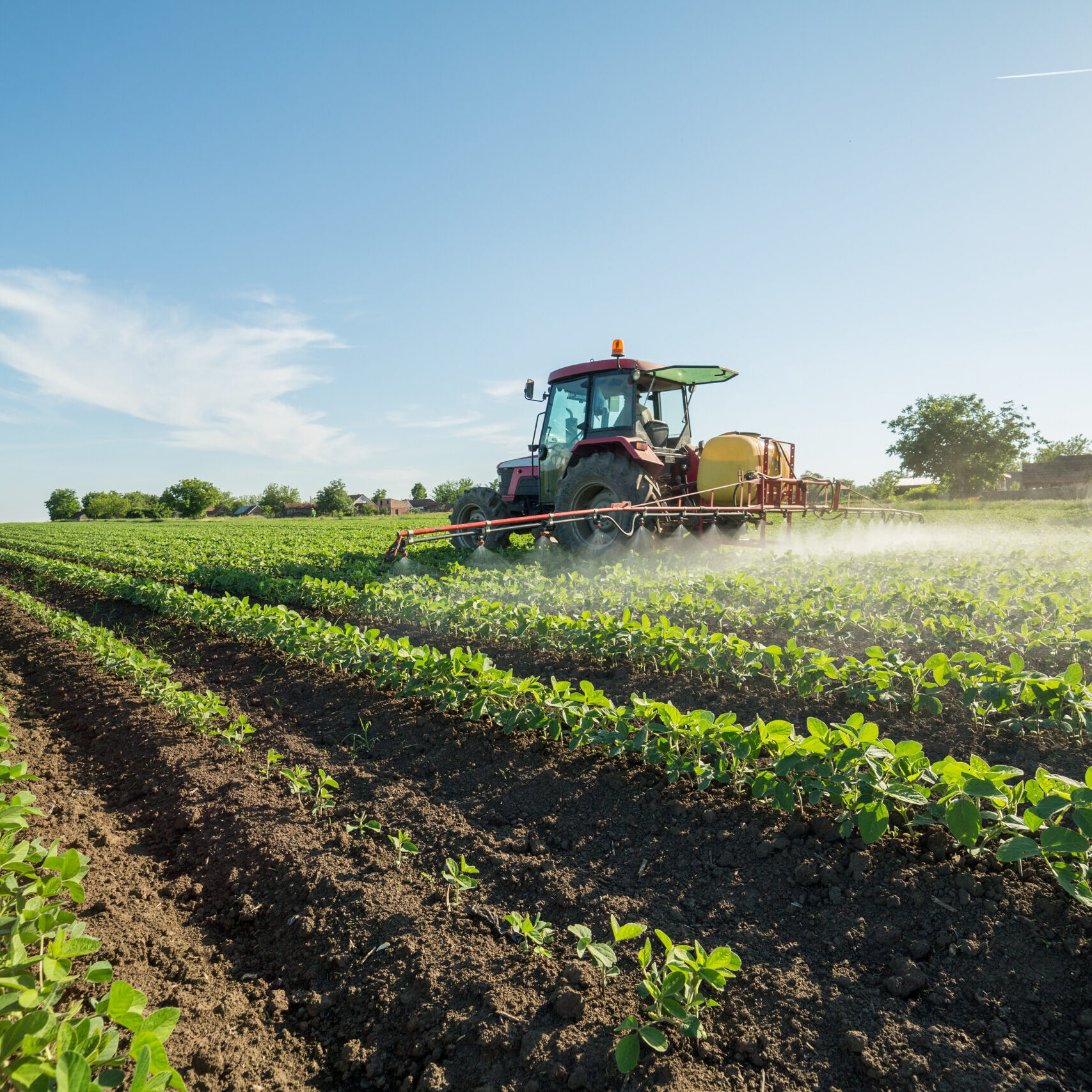 Farmer,Spraying,Soybean,Field,With,Pesticides,And,Herbicides Farmer,Spraying,Soybean,Field,With,Pesticides,And,Herbicides